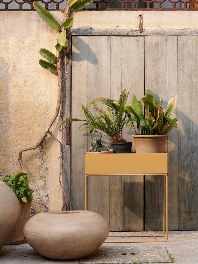 Plant box