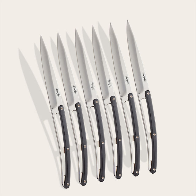 Coffret de 6 couteaux de table