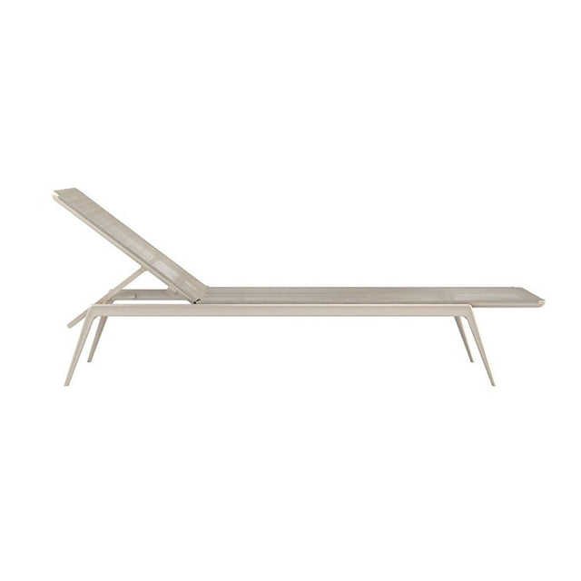 Bain de soleil Branch