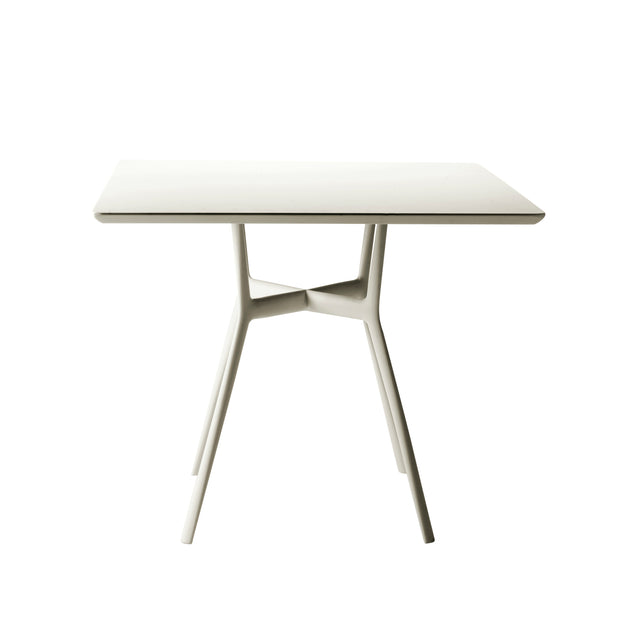 Table Branch
