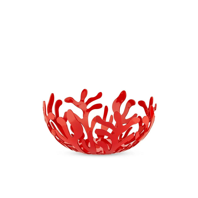 Corbeille Mediterraneo