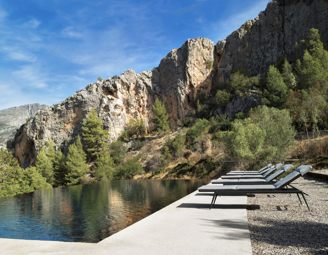 Bain de soleil Branch