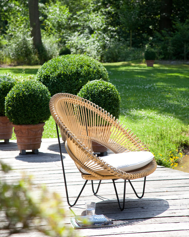 Fauteuil Roy Cocoon