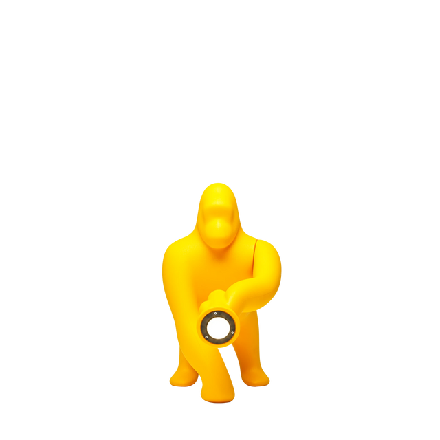 Kong