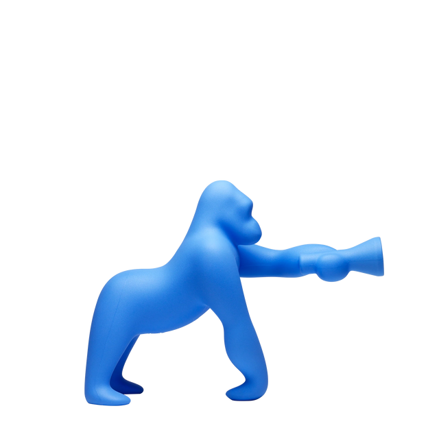 Kong