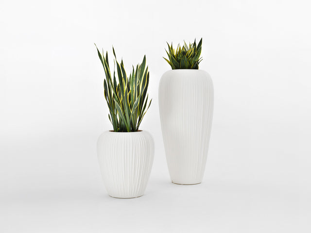 Jardinière Skin