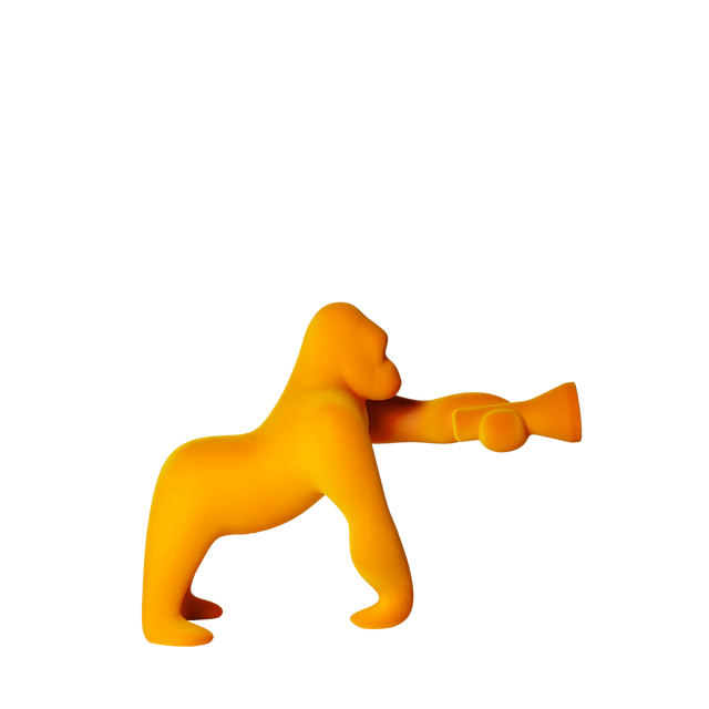 Kong