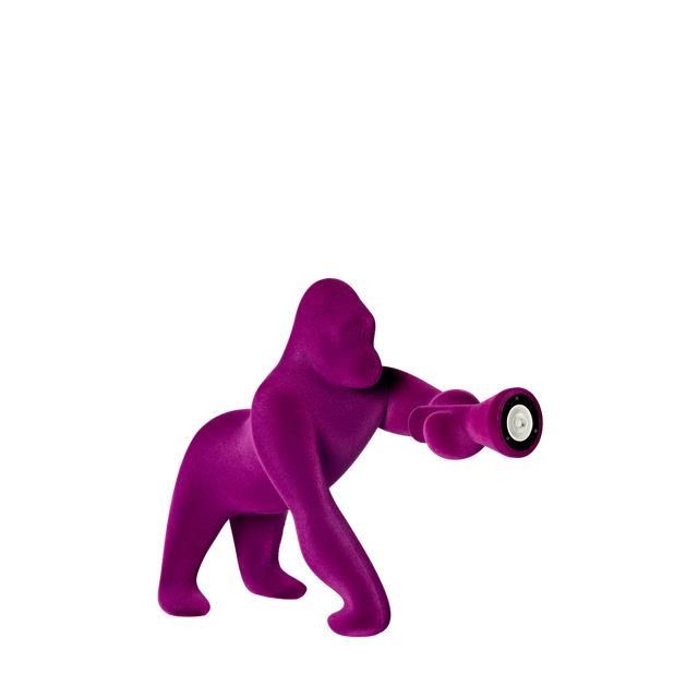 Kong
