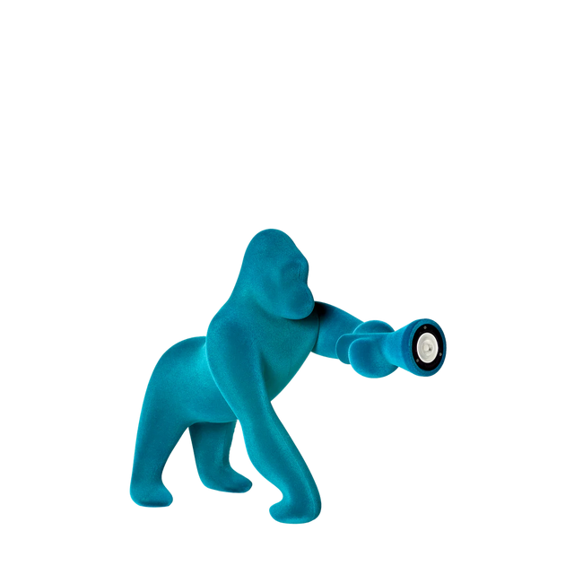Kong