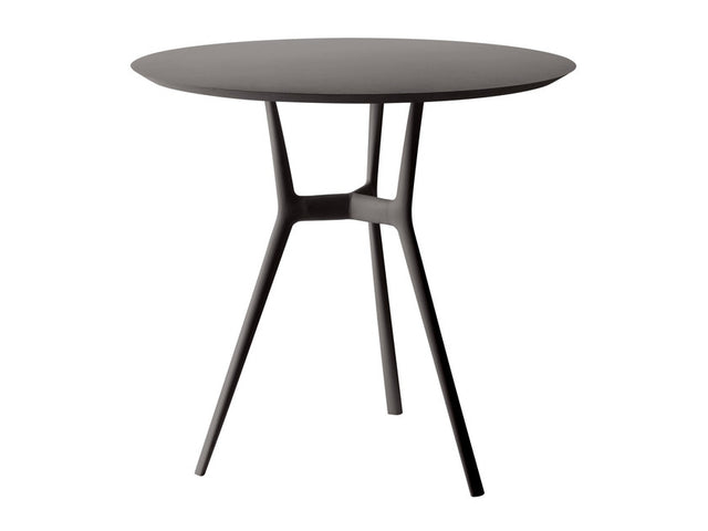 Table Branch