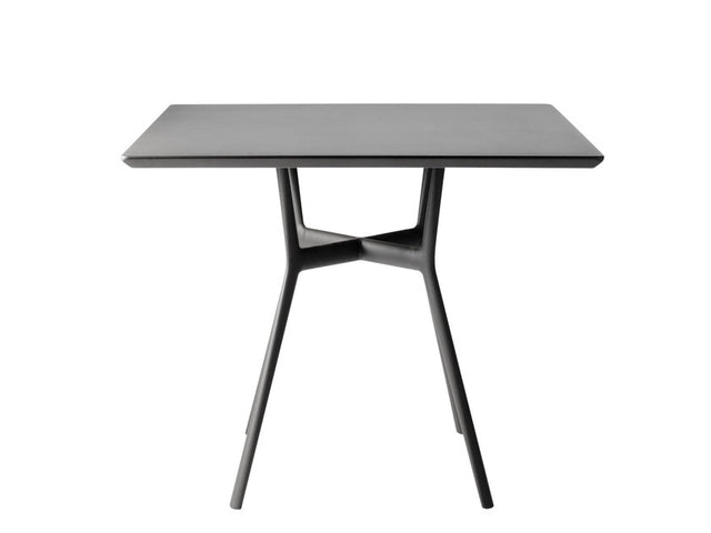 Table Branch