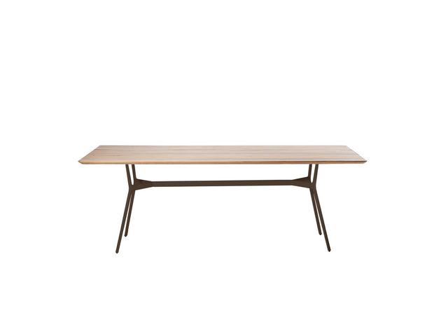 Table Branch