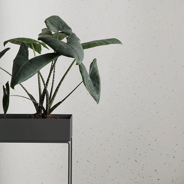 Plant box
