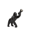 Kong XS