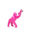 Kong XS