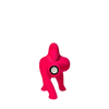 Kong XS